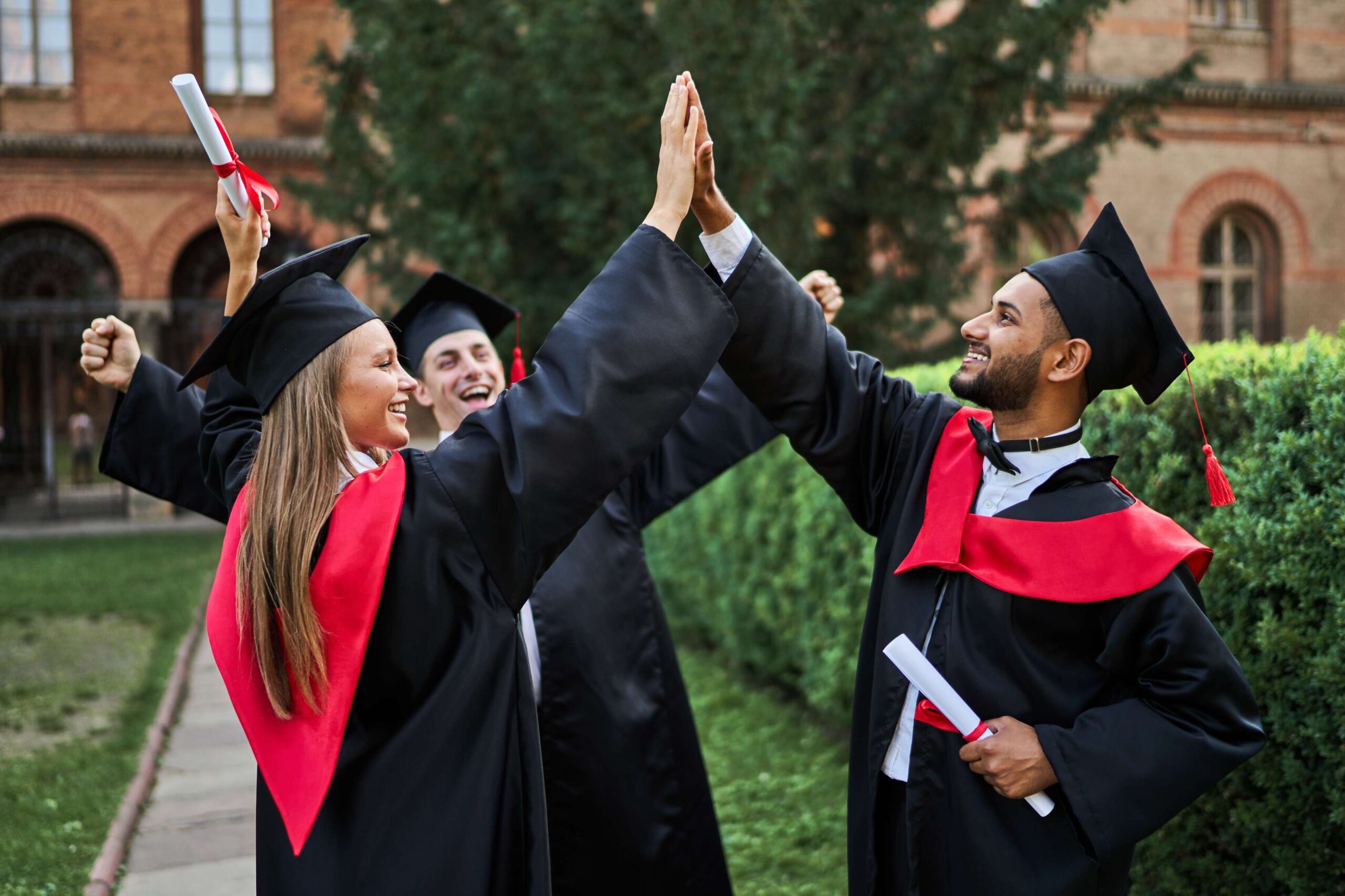What Are the Best University Courses for a Successful Career?