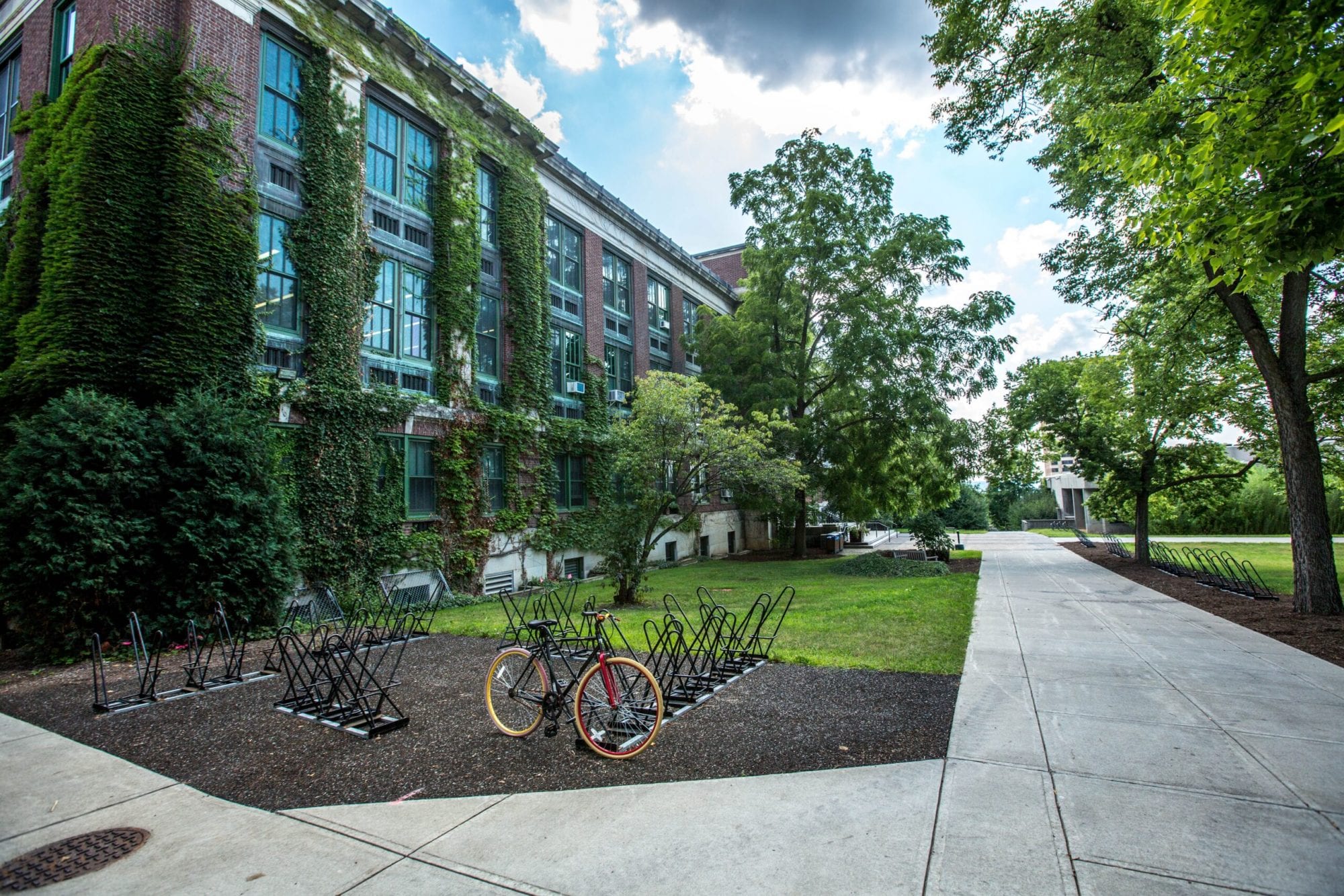 Why Should Students Choose a Green Campus University?